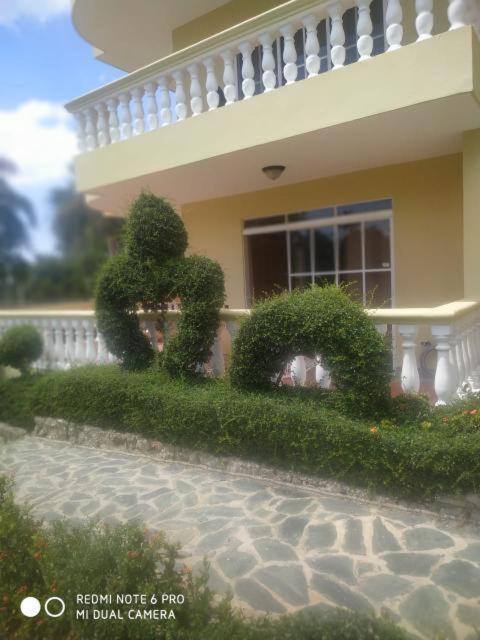 Residencial Las Palmeras De Willy بوكا شيكا المظهر الخارجي الصورة