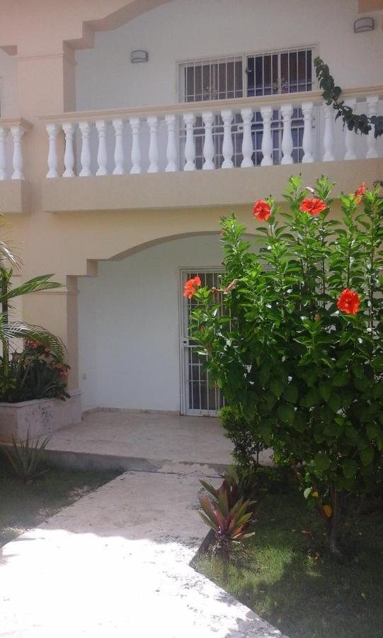 Residencial Las Palmeras De Willy بوكا شيكا المظهر الخارجي الصورة